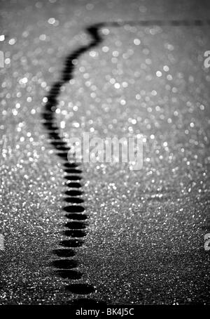 Katze-Spuren im Schnee Stockfoto