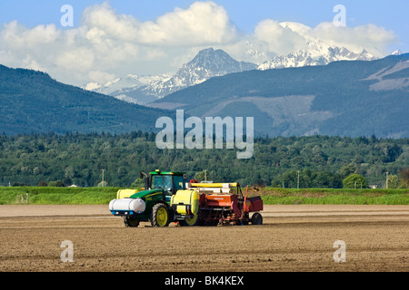 Pflanzen von Kartoffeln mit einem 4 Reihe Pflanzer, gezogen von einem John Deere Traktor im Frühjahr im Skagit County, Washington Stockfoto