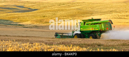 John Deere Mähdrescher ernten weißen Weichweizen im zentralen östlichen Washington Stockfoto