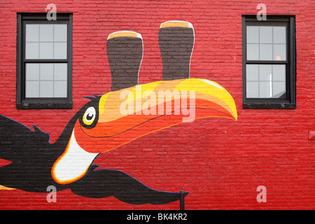 Tukan Wandbild auf ein Irish Pub in Portland Maine Stockfoto