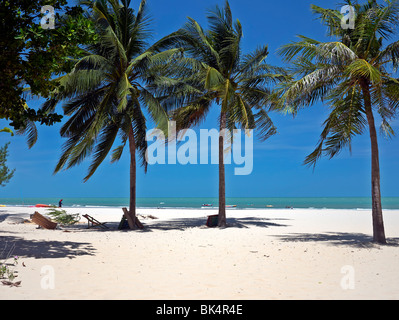 Thailand, unberührte und einsame tropischer Strand mit Palmen und weißem Sand. Khao Kalok, Hua hin Pranburi, Thailand, Asien Stockfoto