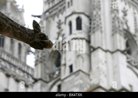 St. Gatien Cathedral Wasserspeier, Tours, Indre-et-Loire, Frankreich, Europa Stockfoto
