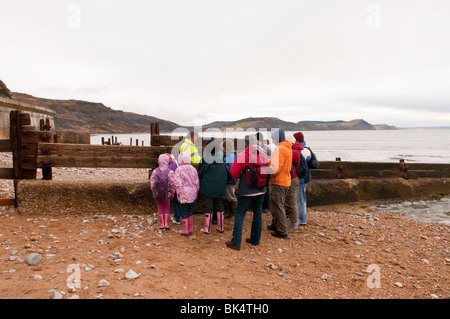 Fossilen Jagd auf Lyme Regis Strand an der Jurassic Coast Dorset UK Stockfoto