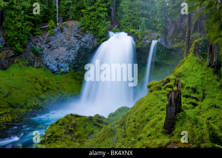 SAHALIE FALLS, OREGON, USA - Sahalie fällt auf das Quellgebiet des Flusses McKenzie, im Willamette National Forest. Stockfoto