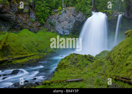 SAHALIE FALLS, OREGON, USA - Sahalie fällt auf das Quellgebiet des Flusses McKenzie, im Willamette National Forest. Stockfoto