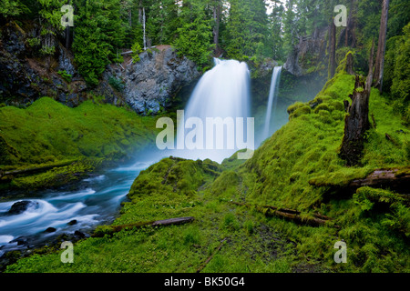 SAHALIE FALLS, OREGON, USA - Sahalie fällt auf das Quellgebiet des Flusses McKenzie, im Willamette National Forest. Stockfoto