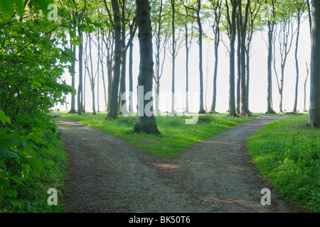 Nienhagen, Bad Doberan, Vorpommern, Mecklenburg-Vorpommern, Deutschland Stockfoto