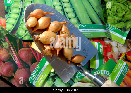 eine Vielzahl von pflanzlichen Samen und Zwiebeln in einem kleinen Gemüse Grundstück autark gepflanzt werden wachsen Ihre eigenen Stockfoto