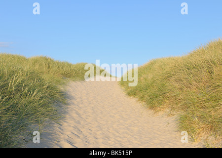 Nordfriesischen Inseln, Sylt, Nordfriesland, Schleswig-Holstein, Deutschland Stockfoto