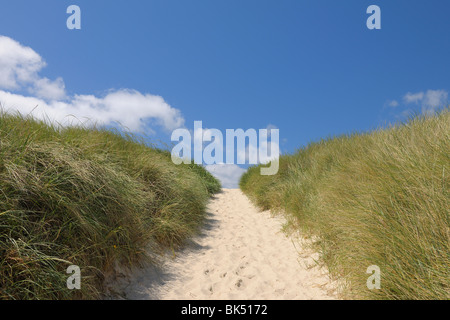 Nordfriesischen Inseln, Sylt, Nordfriesland, Schleswig-Holstein, Deutschland Stockfoto