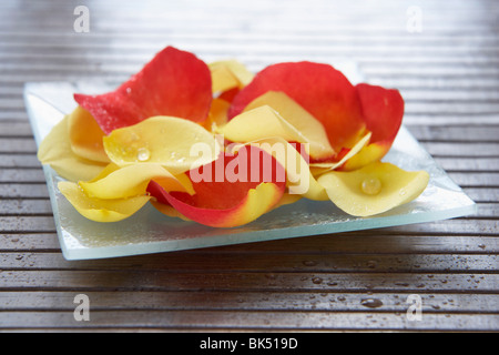 Blütenblätter Stockfoto