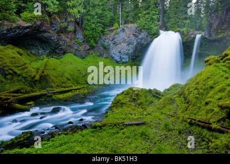 SAHALIE FALLS, OREGON, USA - Sahalie fällt auf das Quellgebiet des Flusses McKenzie, im Willamette National Forest. Stockfoto