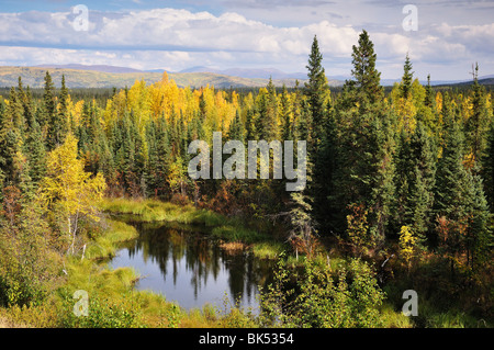 Taiga, Alaska, USA Stockfoto