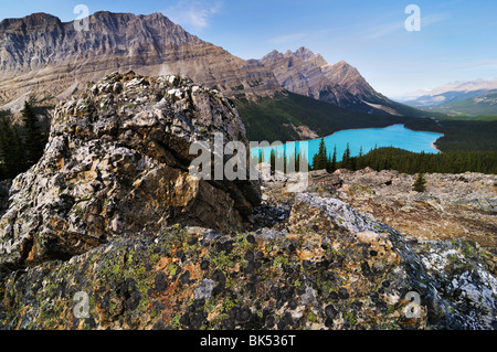 Peyto Lake, Banff Nationalpark, Alberta, Kanada Stockfoto