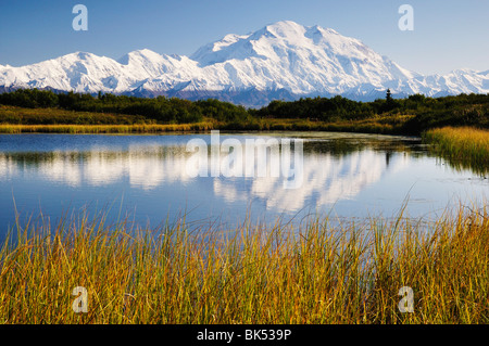 Mount McKinley, Denali Nationalpark und Reservat, Alaska, USA Stockfoto