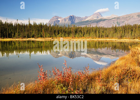 Aquila Berg, Jasper Nationalpark, Alberta, Kanada Stockfoto