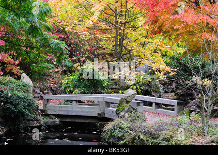 Detail von Dr. Sun Yat-Sen Park, Vancouver, Britisch-Kolumbien, Kanada Stockfoto