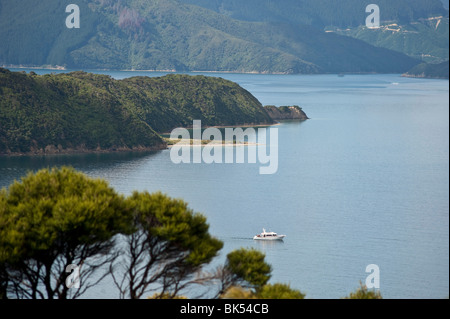 Motuara Island Bird Sanctuary, Queen Charlotte Sound, Südinsel, Neuseeland Stockfoto