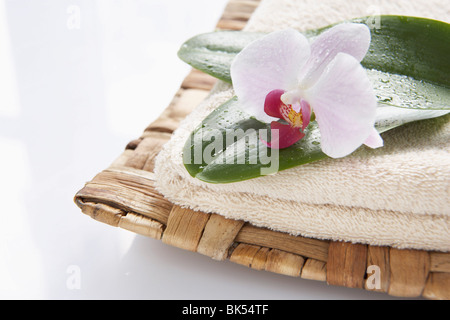 Orchidee und Handtuch Stockfoto