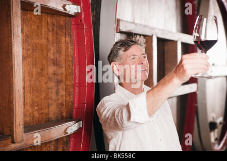 Mann im Weingut Prüfung ein Glas Wein Stockfoto