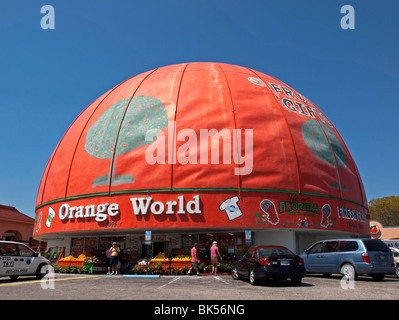 Die weltweit größte Orange in Kissimmee wurde 1973 aus Schaumstoff gefertigt und sitzt auf der Straße nach Disney World in Florida Stockfoto