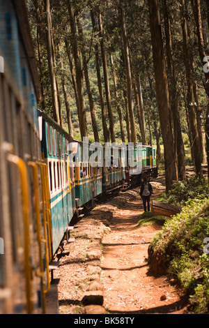 Indien, Tamil Nadu, Udhagamandalam (Ooty), Nilgiri Mountain Railway Zahnradbahn durch alpine Wälder Stockfoto