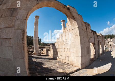 Ruinen von der Dekapolis Skythopolis, Bet She'an National Park, Israel, Naher Osten Stockfoto