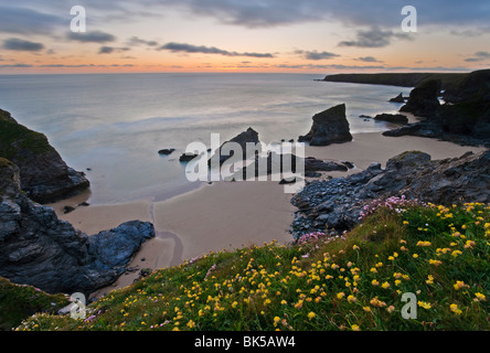 Wildblumenwiese auf die rührende mit Blick auf Bedruthan Steps, North Cornwall, England, Vereinigtes Königreich, Europa Stockfoto