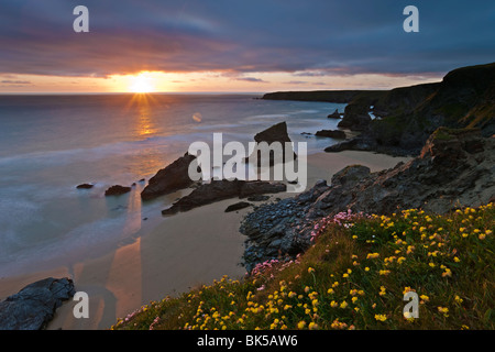 Wildblumenwiese auf die rührende mit Blick auf Bedruthan Steps, North Cornwall, England, Vereinigtes Königreich, Europa Stockfoto