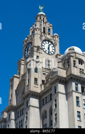 Liver Building, eines der drei Grazien, Liverpool, Merseyside, England, Vereinigtes Königreich, Europa Stockfoto