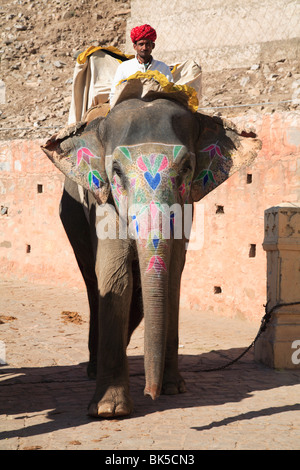 Mahout und Elefant, Amber Fort Palace, Jaipur, Rajasthan, Indien, Asien Stockfoto
