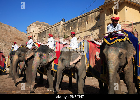 Mahouts und Elefanten, Amber Fort Palace, Jaipur, Rajasthan, Indien, Asien Stockfoto