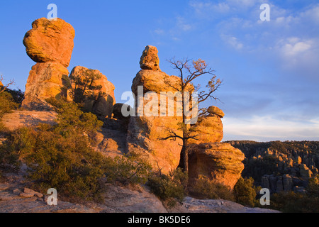 Felsformationen im Chiricahua National Monument, Willcox, Cochise County, Arizona, Vereinigte Staaten von Amerika, Nordamerika Stockfoto