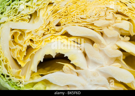 Nahaufnahme von der Innenseite der halbierten Wirsing Stockfoto