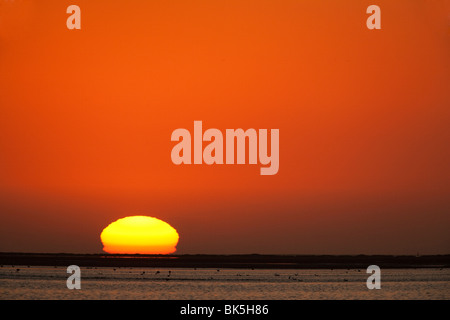 Sonnenuntergang über Walvis Bay Lagune, Namibia, Afrika Stockfoto