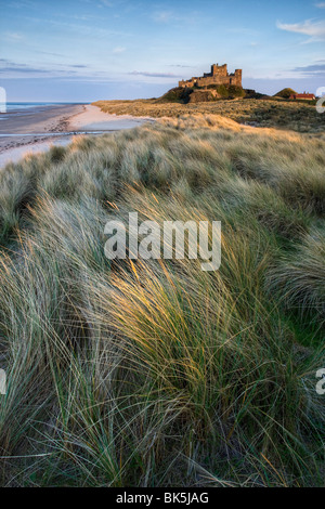 Bamburgh Castle gebadet im Abendlicht von den Dünen über Bamburgh Strand, Bamburgh, Northumberland, England Stockfoto