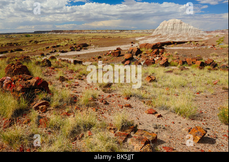 Malerische Aussicht auf Petrified Forest National Park, Arizona, USA Stockfoto