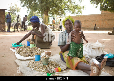 Frauen auf dem Markt in Amuria Bezirk, Teso Subregion, Uganda, Ostafrika Stockfoto