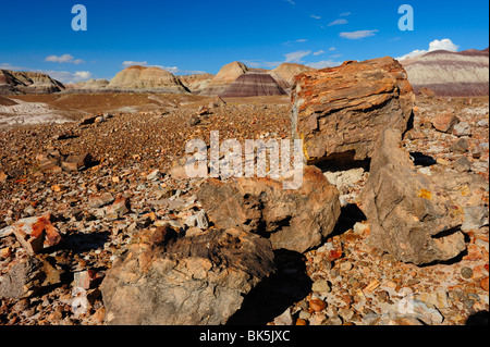 Malerische Aussicht auf Petrified Forest National Park, Arizona, USA Stockfoto