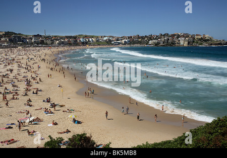 Bondi Beach, Sydney, New South Wales, Australien, Pazifik Stockfoto