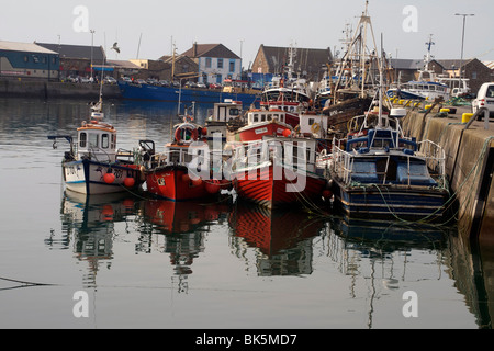 Angelboote/Fischerboote, Howth harbour, County Dublin, Republik Irland, Europa Stockfoto