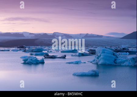 Eisberge in der Gletscherlagune Jökulsárlón, Dusk, Breidamerkurjokull-Gletscher in der Ferne, Ostisland, Island Stockfoto