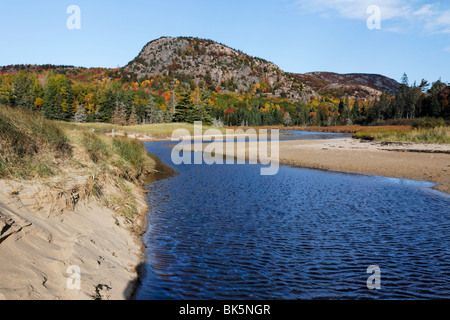 Creek am großen Kopf in der Nähe von Sandstrand, Mt Desert Island, Acadia National Park, Maine Stockfoto