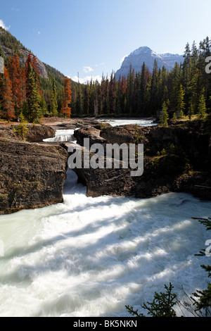 Natural Bridge auf dem Kicking Horse River, Yoho Nationalpark, Britisch-Kolumbien, Kanada Stockfoto