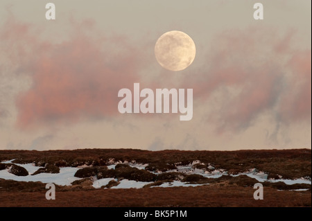 Full Moon rising über Bleaklow, Peak District, UK Stockfoto