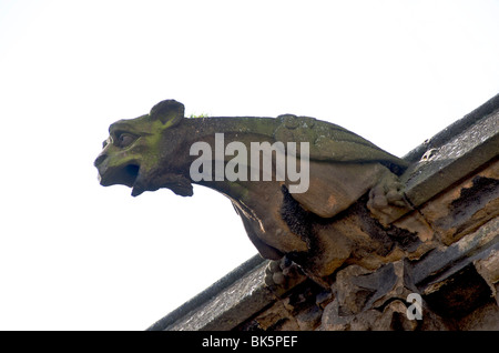 Wasserspeier an der Fassade der Kirche. Moulins. Allier. Frankreich Stockfoto