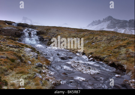 Gefrorener Wasserfall und Strom in den Osten, in der Nähe von Neskaupstadur, Nordfjordur-Reydarfjördur, Osten Fjorde, Island Stockfoto