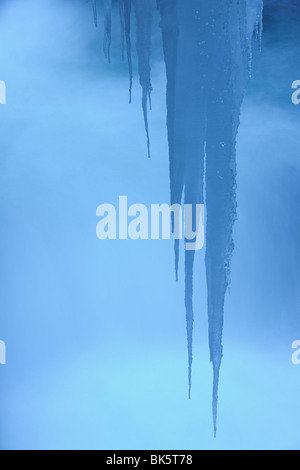 Eiszapfen, Partnachklamm Schlucht, Garmisch Partenkirchen, Bayern, Deutschland Stockfoto