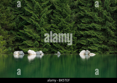 Spiegelbild der Felsen im Wasser, Wald im Hintergrund, in der Nähe von Fuschl, Salzburg, Österreich Stockfoto