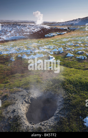 Geothermische Aktivität Schlammpötte, Geysiren und heißen Quellen von Geysir, Tal Haukadalur, Golden Circle, Island, Polarregionen Stockfoto